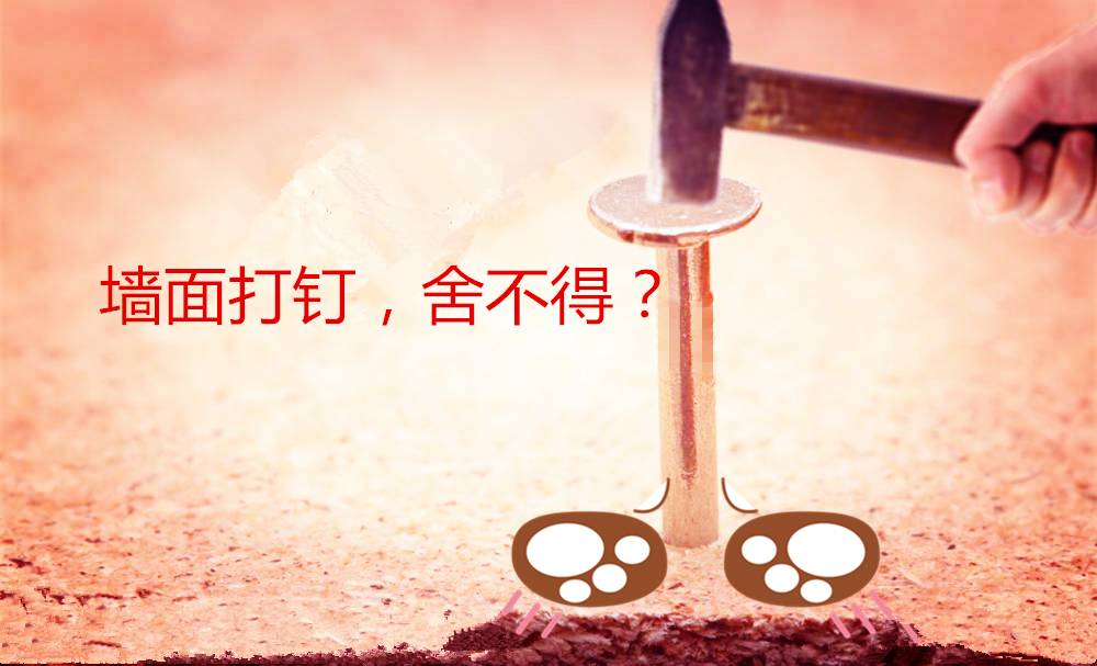 舍不得在墙上打钉看过来，教你怎么打钉不留痕！