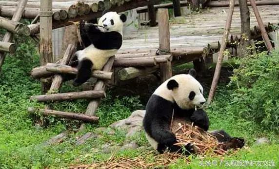 2天玩转成都攻略大全,成都5-7天攻略