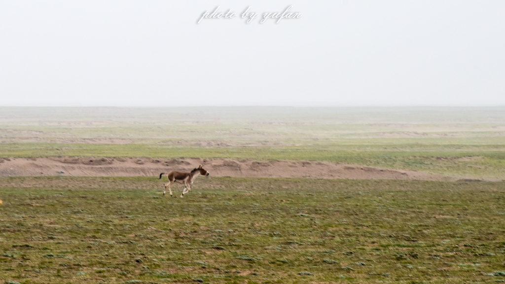 无人区穿越多少公里,无人区穿越和荒野求生哪个难