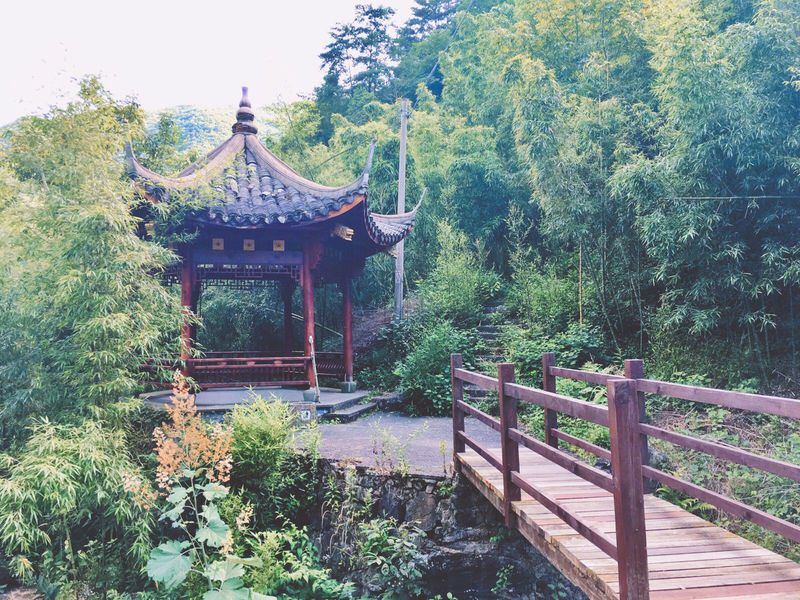 一场说走就走暑假旅行,一场说走就走的旅行来了