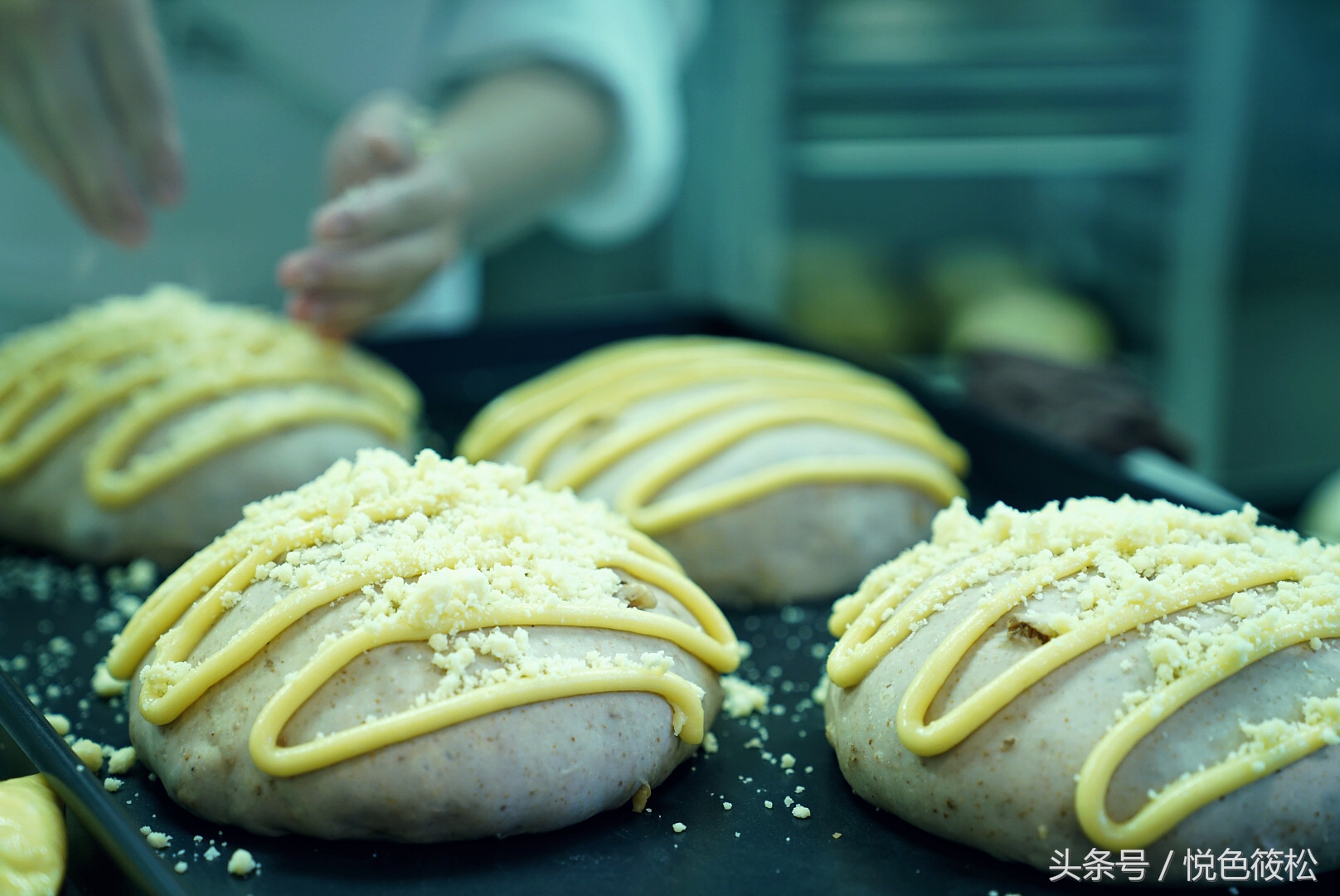 原麦山丘比其它面包好在哪,大连全麦面包哪家好吃