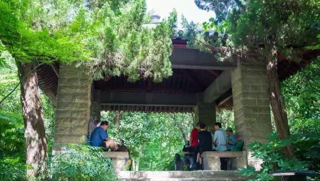 高温下的上海城市,上海40度以上高温