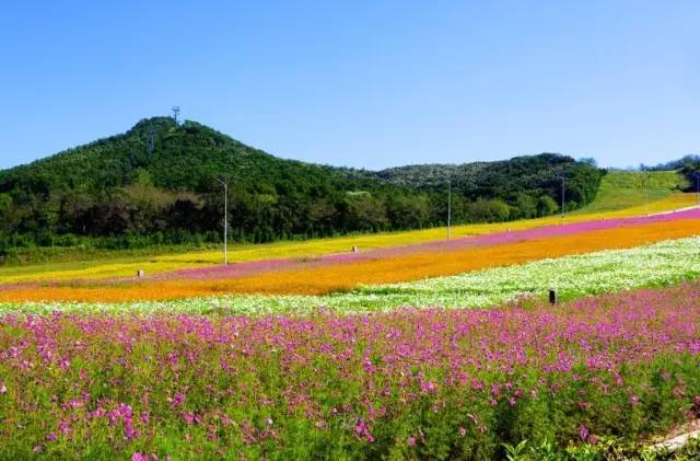 大连铭湖牧场度假区,大连铭湖牧场和三寰牧场哪个好