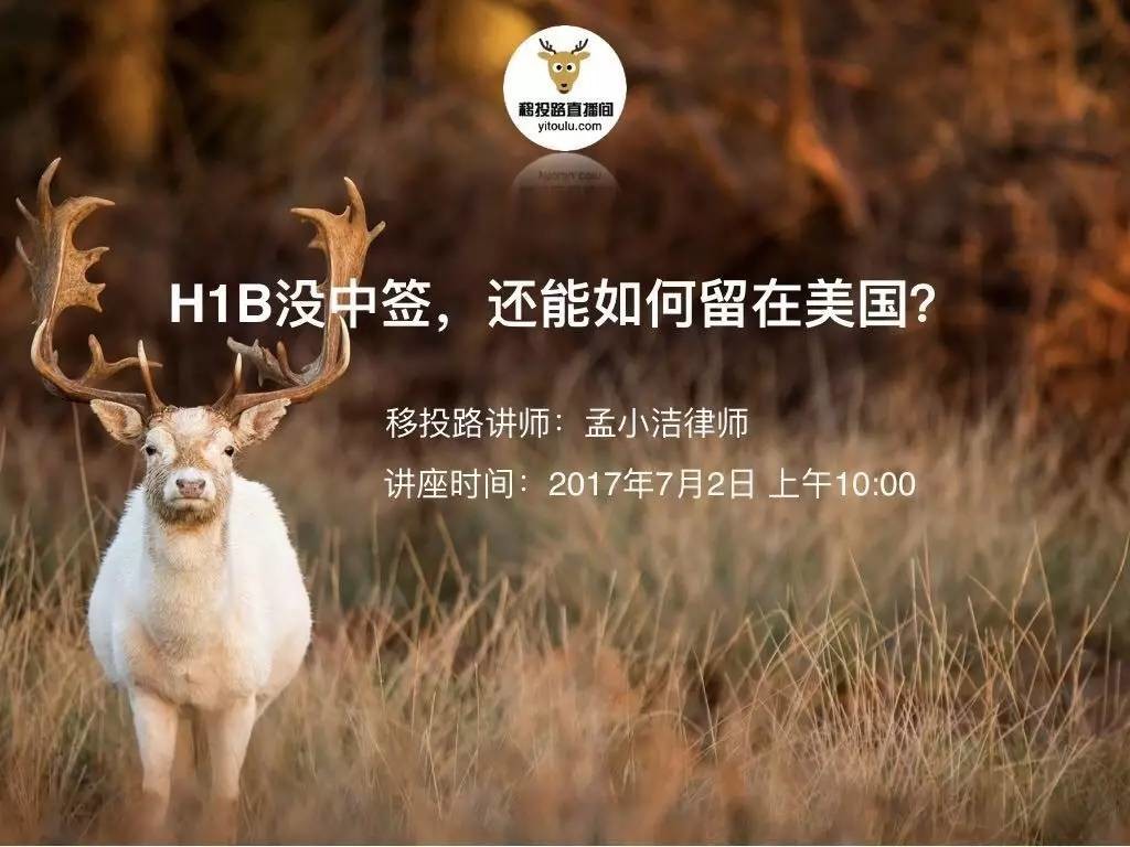 h1b没抽到怎么办,h1b没有抽中费用退不退