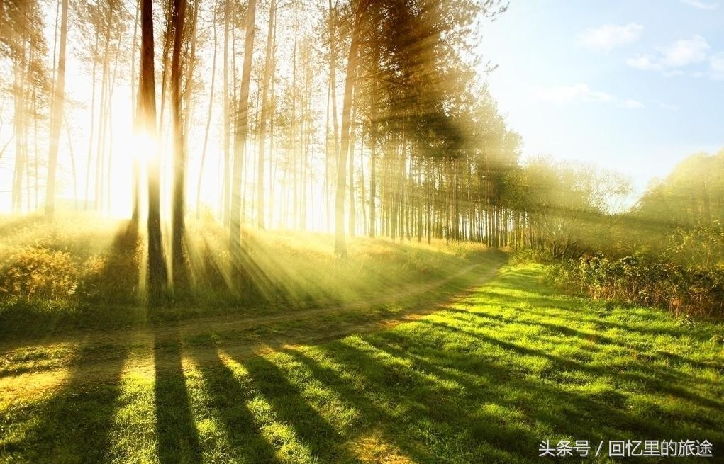 广东阳春旅游,去广东阳春旅游攻略