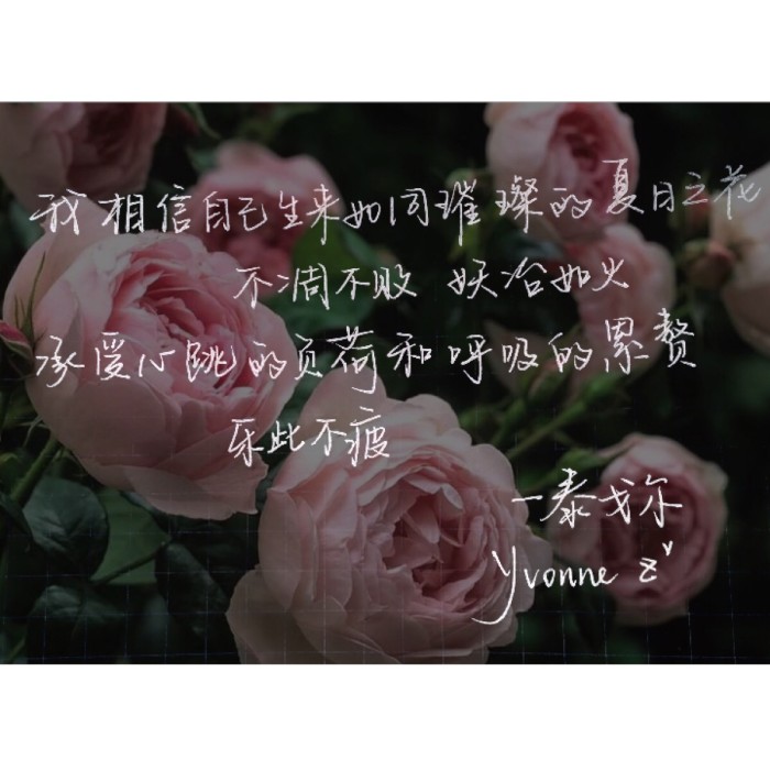 只愿世间风景千般,世间风景万千不敌一人心疼