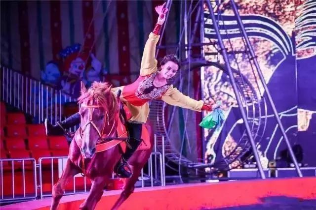 实探冰雪武汉,大马戏武汉市