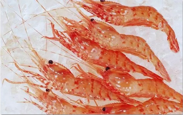 北方海边吃海鲜推荐,适合吃海鲜的地方推荐