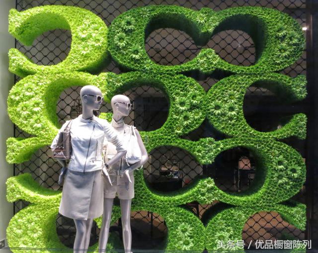 带你看遍所有车型,带你看遍大牌包包