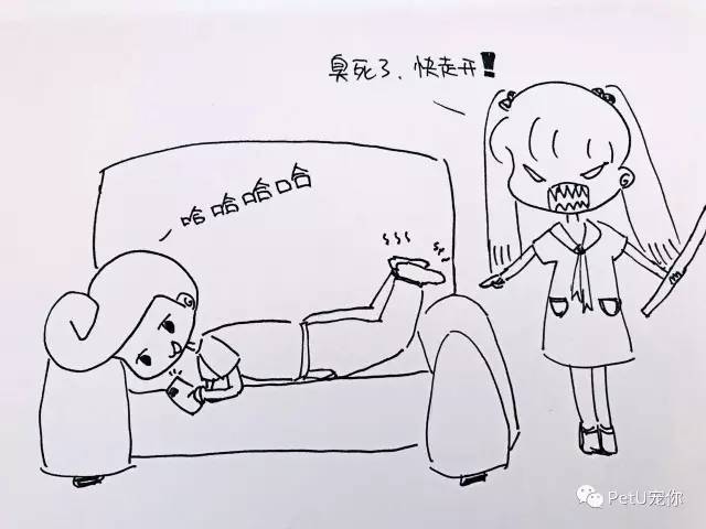 大学里养狗是种什么体验,女朋友养狗家里脏乱差