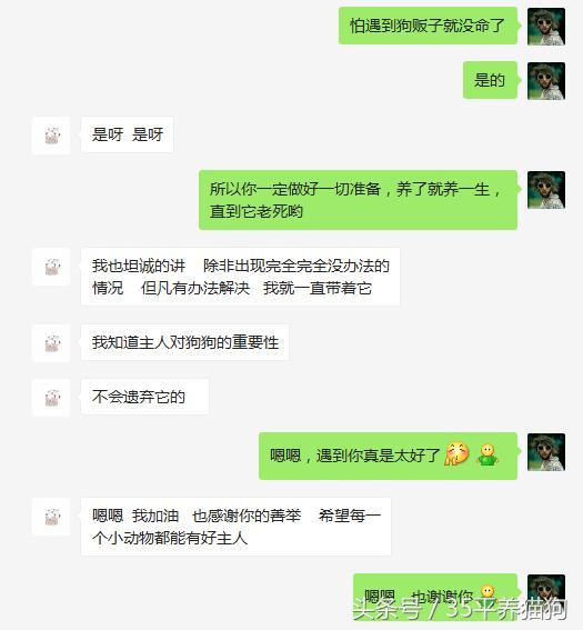 我和我的狗子们：养狗人的心醉幸福二三事儿