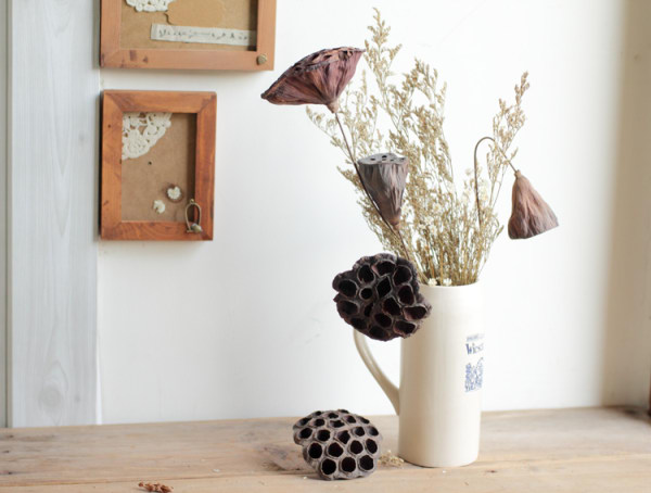 莲蓬怎么销售,卖莲蓬最好的销路