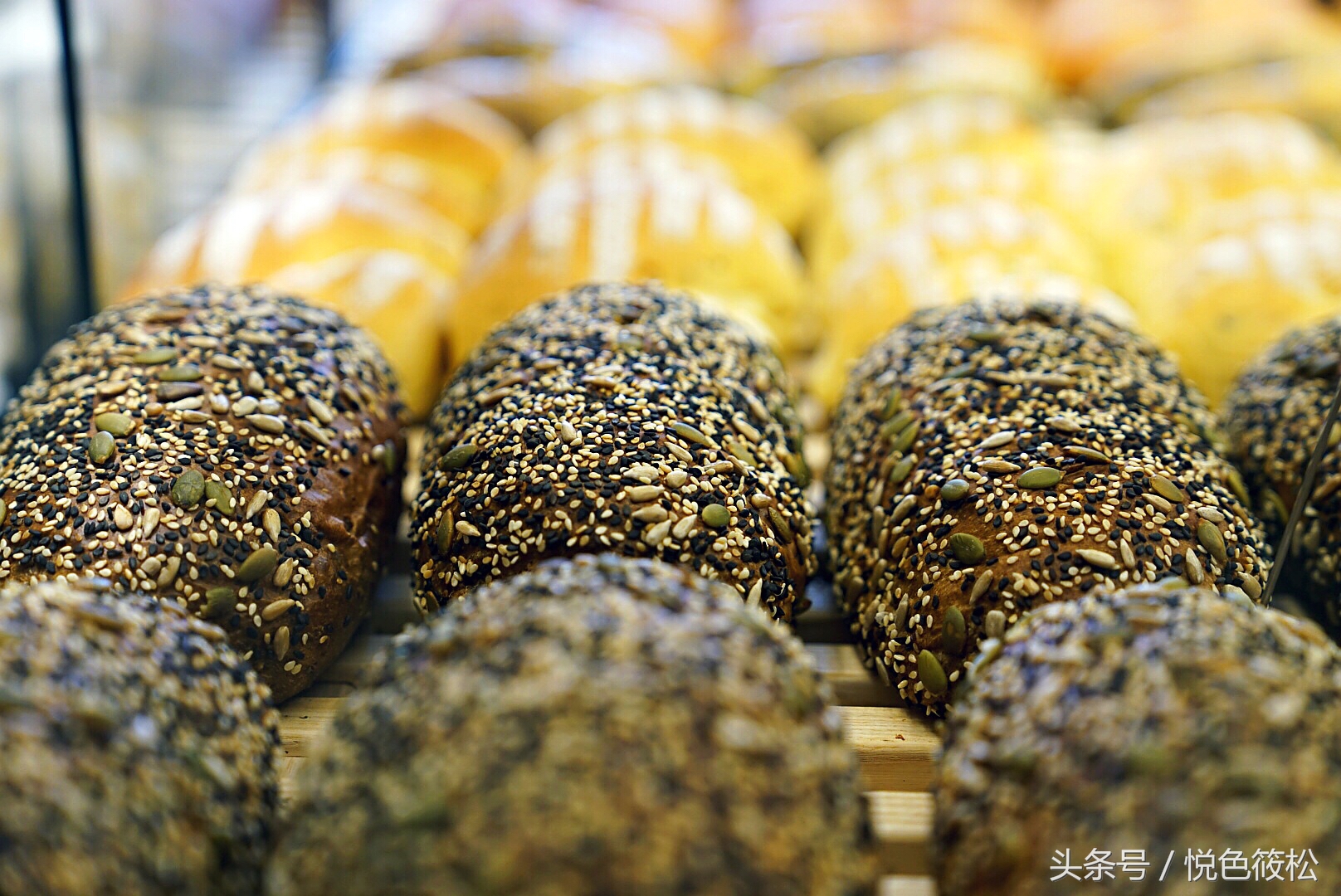 原麦山丘不甜不腻的面包,原麦山丘每一口面包冲击着味蕾