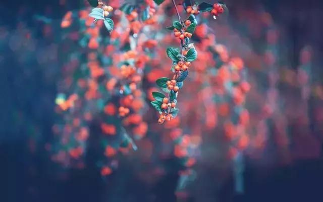 红尘三千完整版原唱,红尘三千第23章