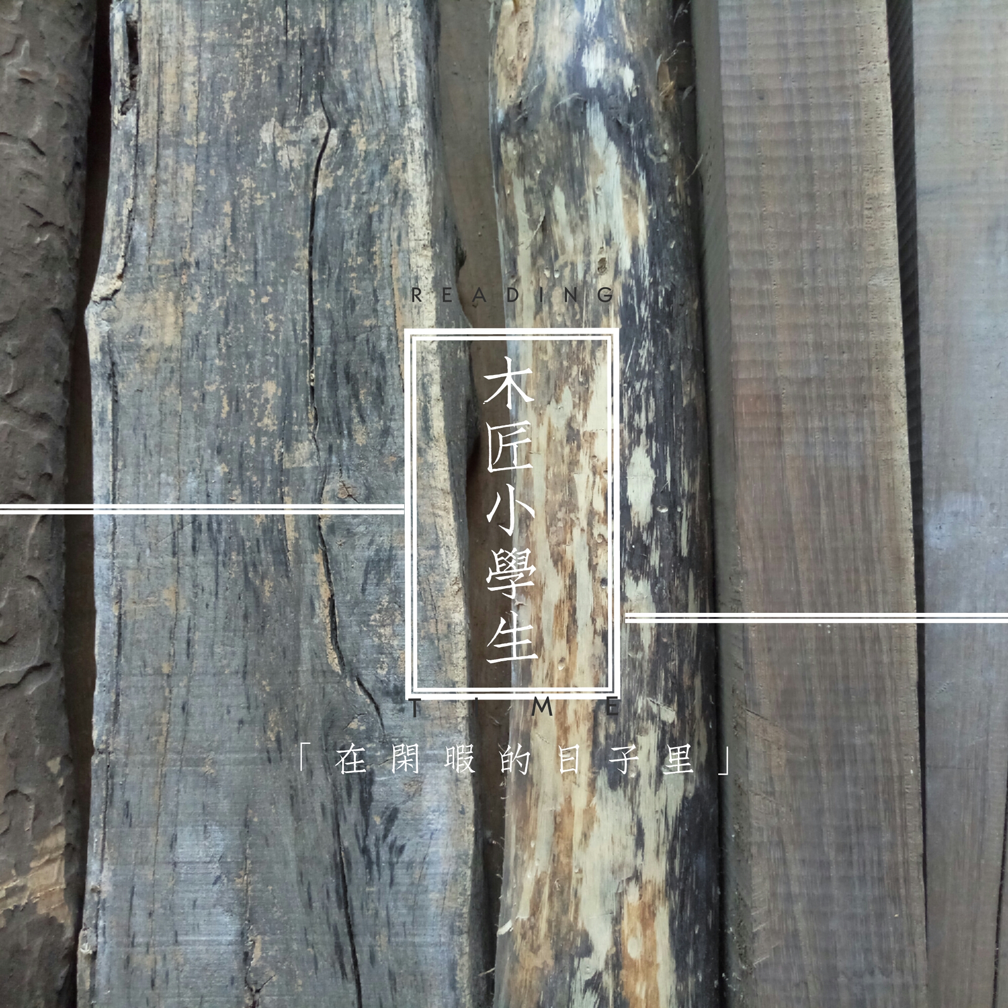 正常木头和腐朽木头对比图片,烂木头有什么用途