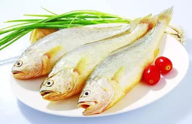 一啸渔乐,常见平尾海鱼有哪些