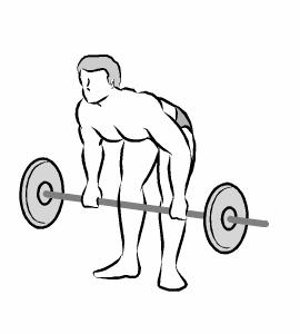 背部训练一周几次,女士背部肌训练计划