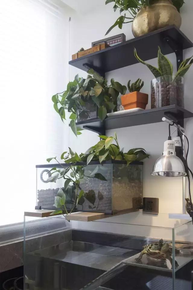 36㎡打造乐活居,你什么样,生活就什么样!