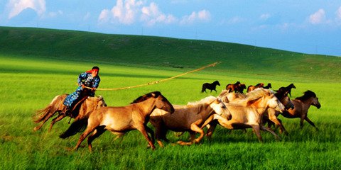 呼伦贝尔的历史简介,额尔古纳蒙古族发源地