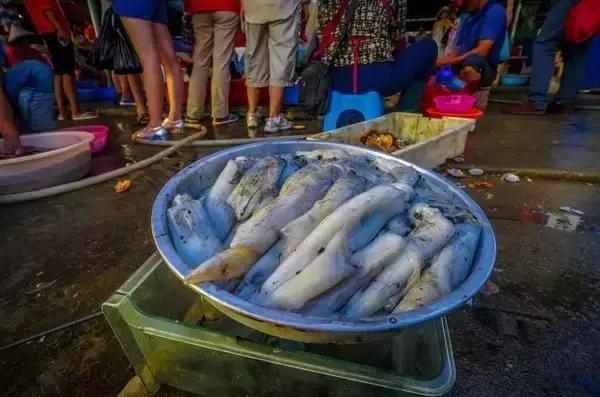 面朝大海春暖花开涠洲岛之旅,海景圣地涠洲岛