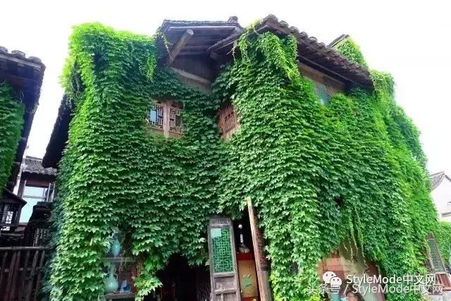 再普通的房子遇上爬山虎，都会变成别具一格的城堡！