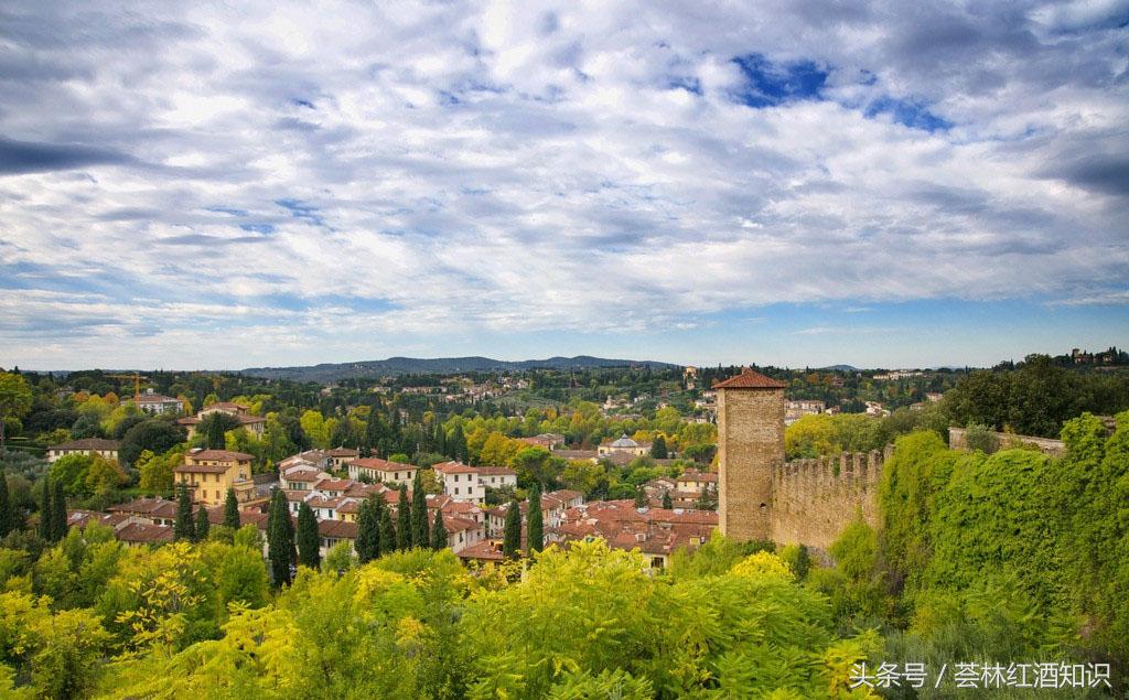 高质量意大利葡萄酒,意大利葡萄酒讲解视频