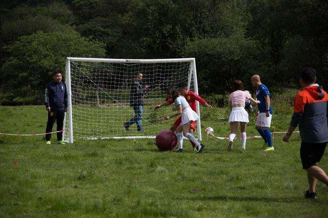四姑娘山高山草甸,四姑娘山雪山草甸