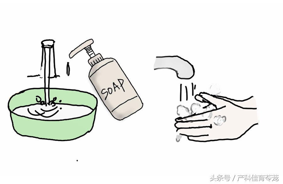 怀孕后可以养宠物吗,为什么怀孕不能养宠物