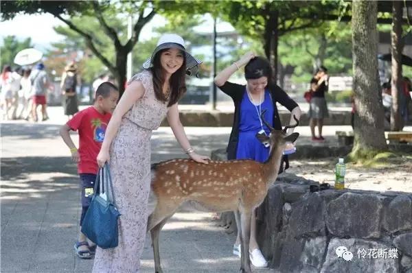 暑假如何玩转邮轮,暑假怎么玩儿