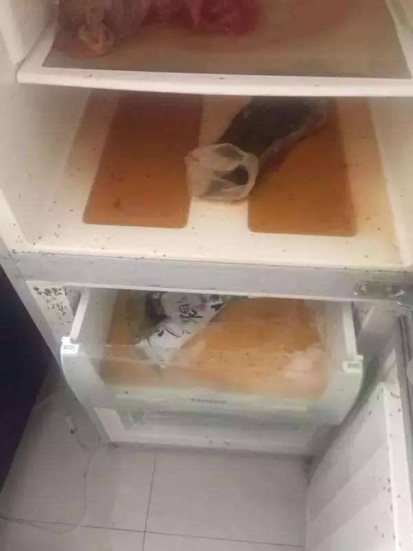 小伙把新房租给90后漂亮的女生,男子把房子租给一个女生