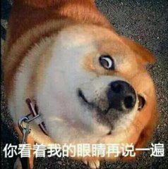 延迟发货买家投诉在哪里看,违背发货时间被买家投诉该怎么办