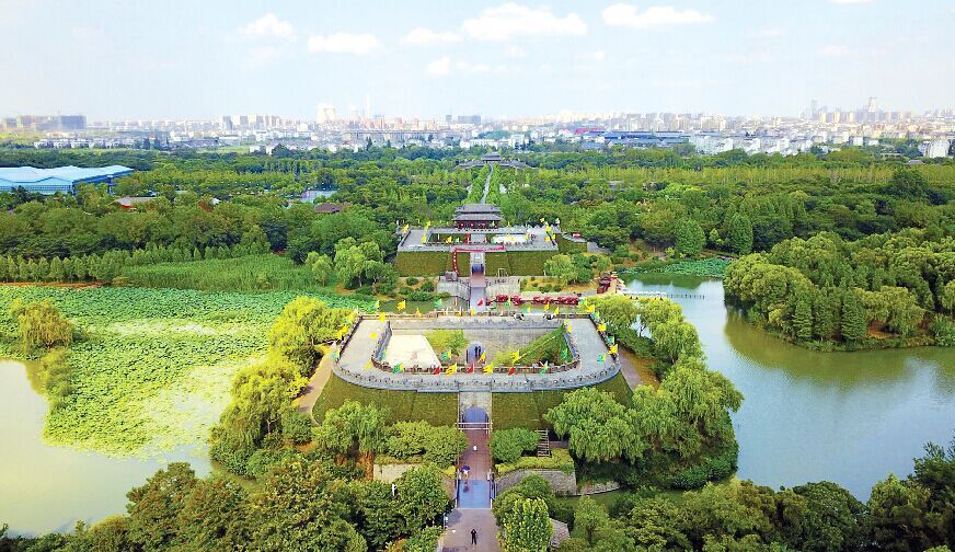 扬州2000多年银杏树,扬州哪里有大银杏树