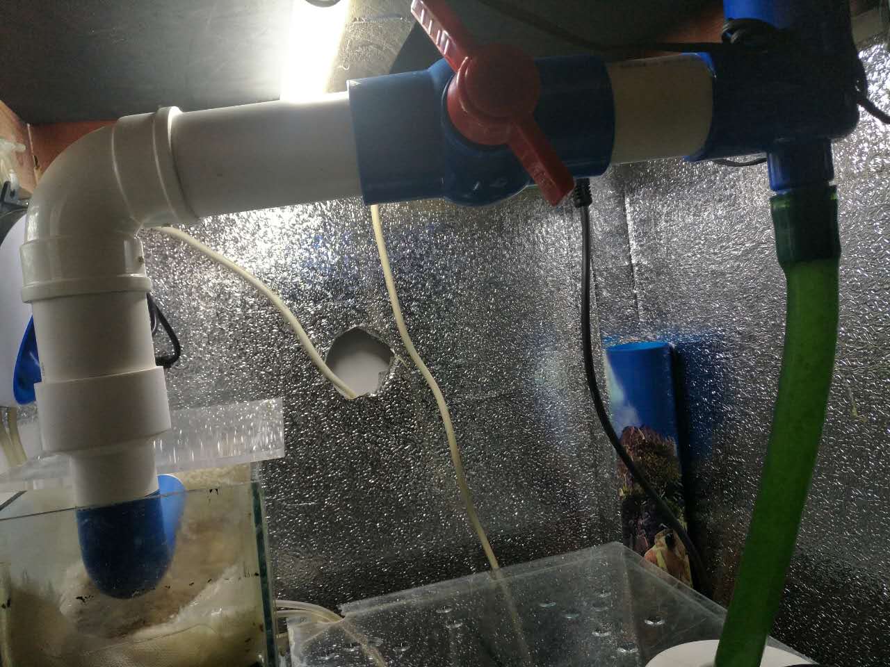 鱼缸diy用什么石头,鱼缸diy制作30元