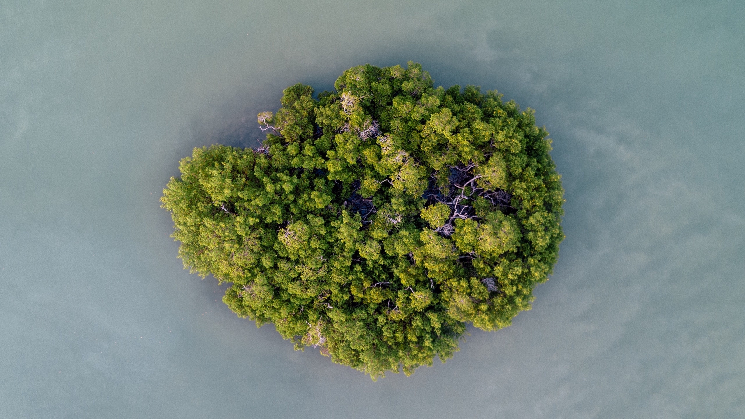 解锁新技能干什么,解锁电脑新技能