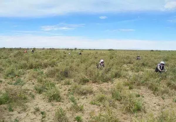 90后女生回到家乡创业,90后姑娘只身创业打拼