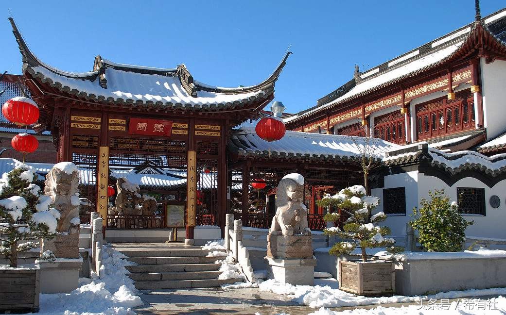 中国黄金风景视频,中国金币图片高清大图