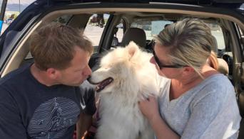 流浪猫志愿者实践活动,做志愿者的活动纪实