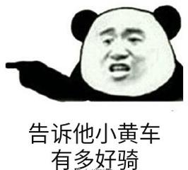 选车笔记完整视频,选车记录