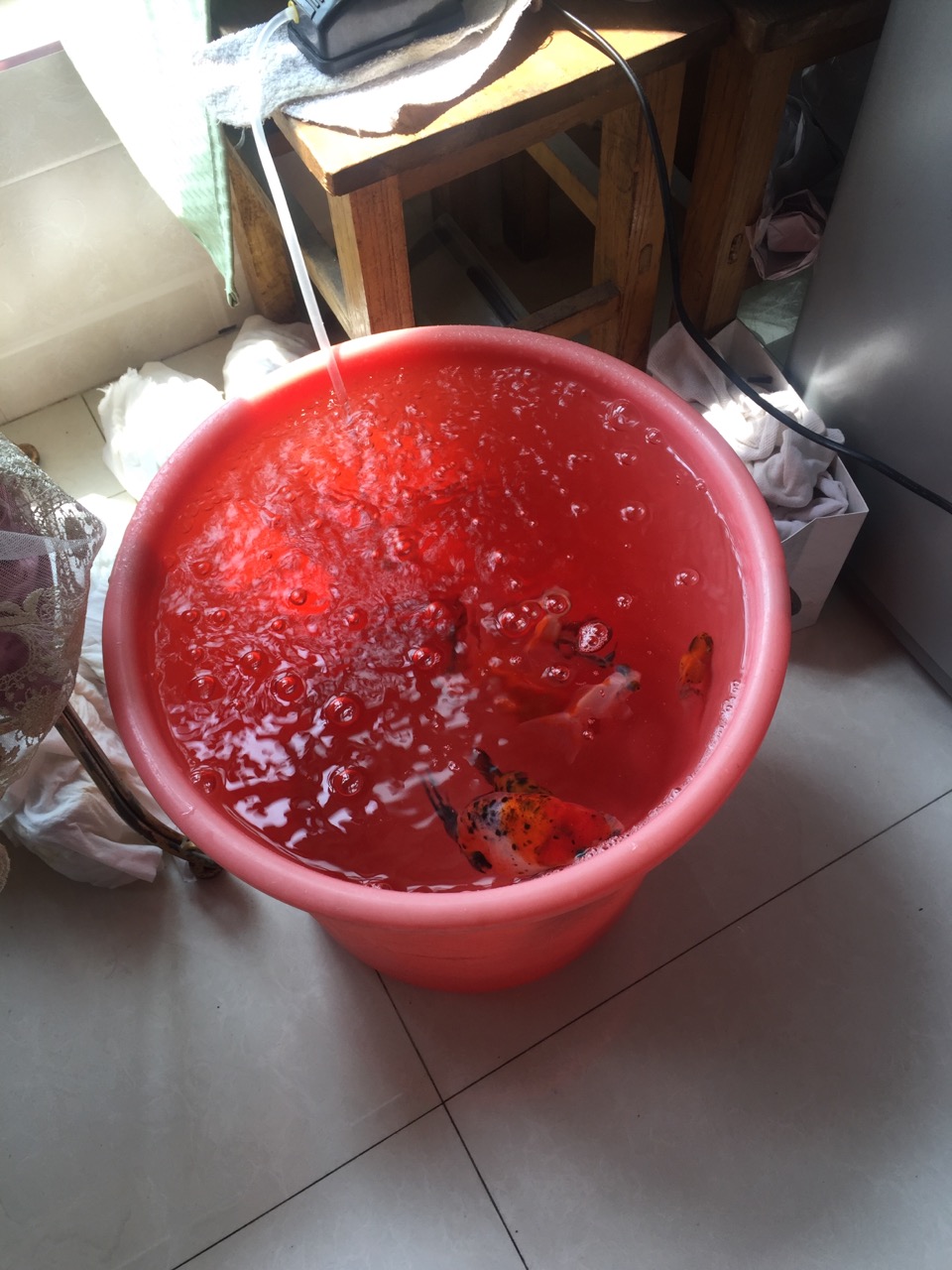 鱼缸diy用什么石头,鱼缸diy制作30元