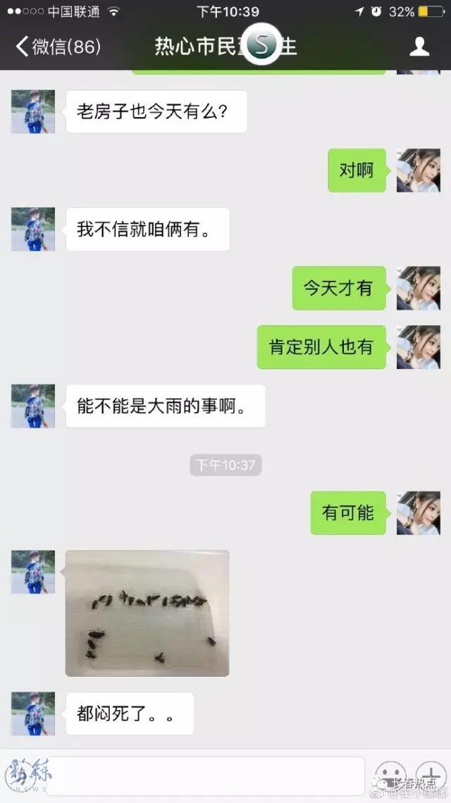 沈阳有虫子吗,京津冀出现黑虫子