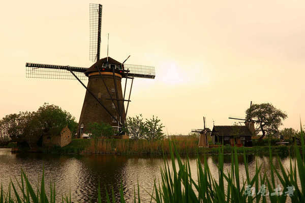 荷兰现在能不能去,什么时候不能去荷兰