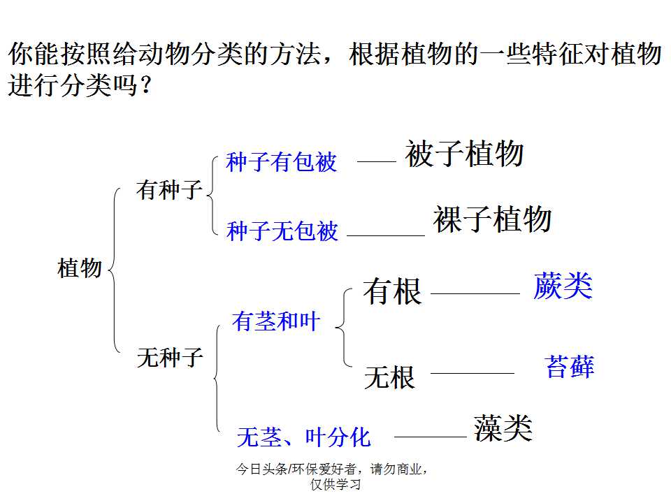 认识植物从身边开始,认识植物的根茎叶各个部分