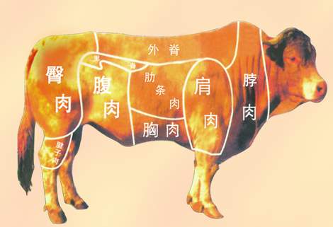 牛牛的增重计算方法,牛牛育肥全过程