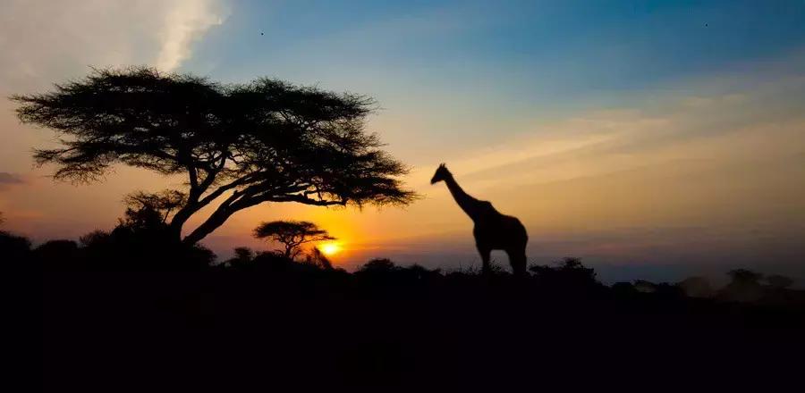 热门的夏天避暑哪里好,夏季避暑小众地