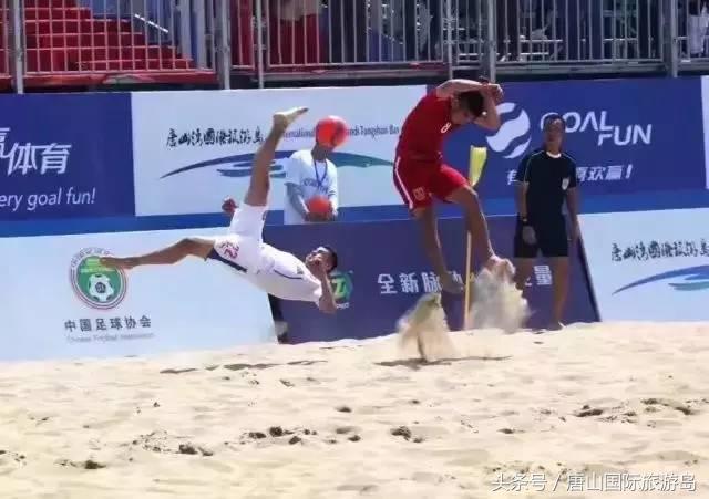 承包一整片海的浪漫,承包一片海域能干什么