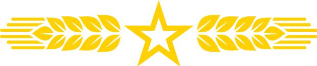 商务部工作的真实感受,商务部入职体验