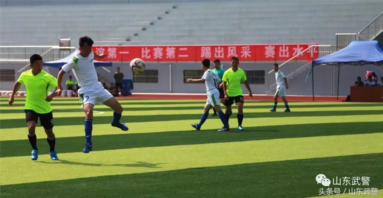 卫士动力升级后效果,卫士动力数据