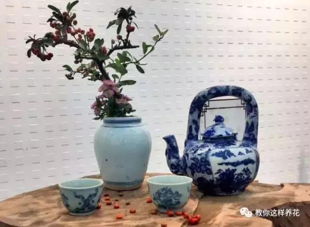 娈嬫灊璐ュ彾鎻掕姳,娈嬫灊璐ヨ姳