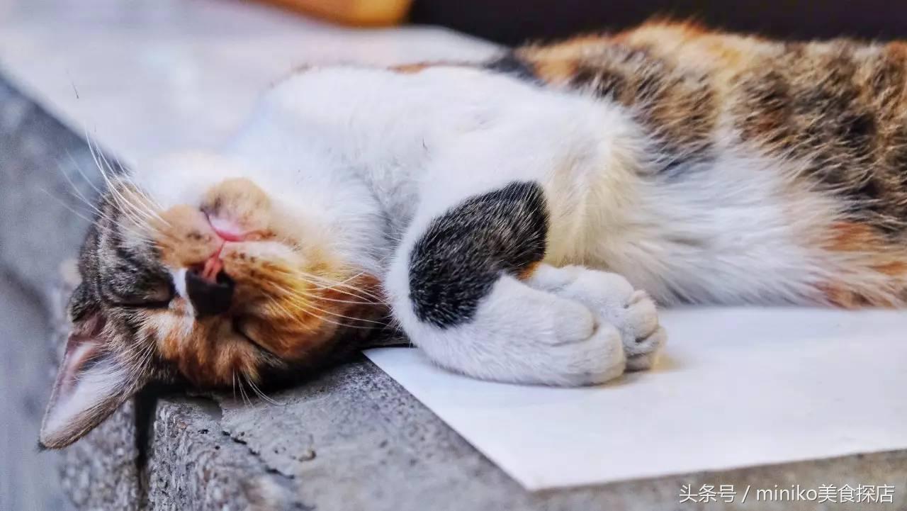 只卖红锅的火锅,只卖红汤的火锅