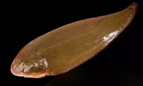 想出海?没攻略?国内最年轻的火山岛攻略免费送你啦